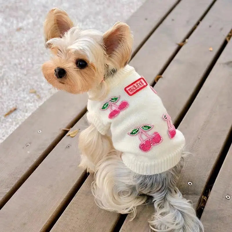 Cherry Pet Sweater | Cozy Knit Pullover for Small & Medium Dogs & Cats