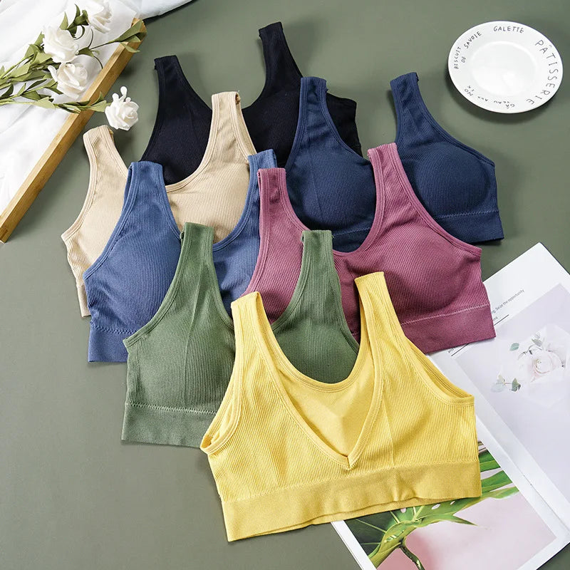 Sport Bra Breathable Inner and Outer Wear Vest Women Athletic Undergarment Gather Sports Underwear Quick Dry Workout Top