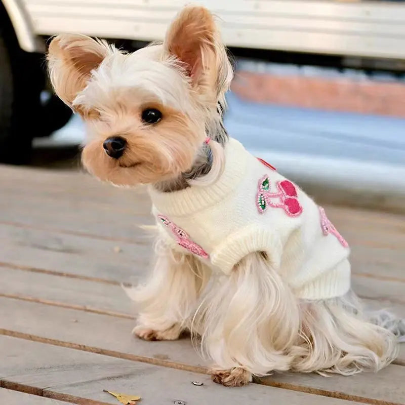 Cherry Pet Sweater | Cozy Knit Pullover for Small & Medium Dogs & Cats