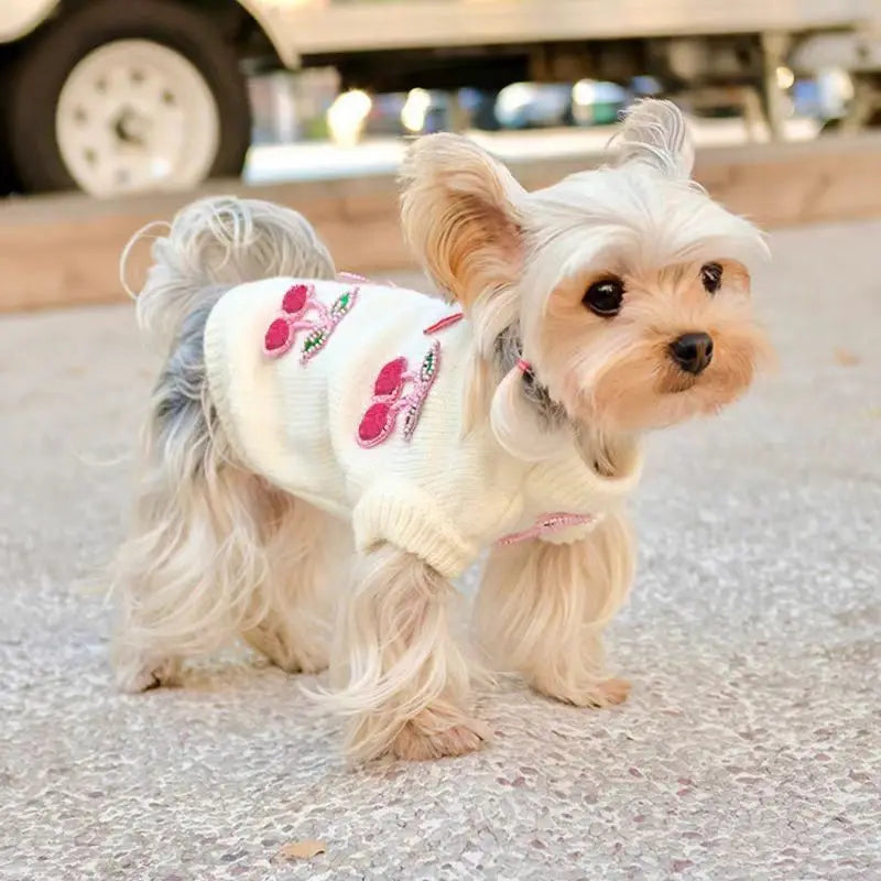 Cherry Pet Sweater | Cozy Knit Pullover for Small & Medium Dogs & Cats