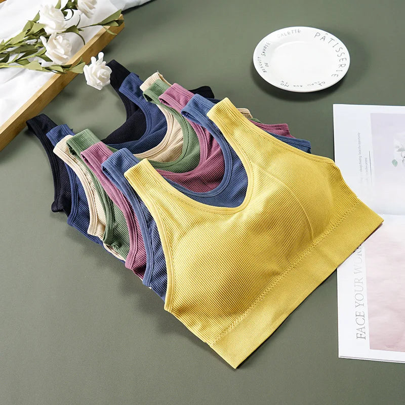 Sport Bra Breathable Inner and Outer Wear Vest Women Athletic Undergarment Gather Sports Underwear Quick Dry Workout Top