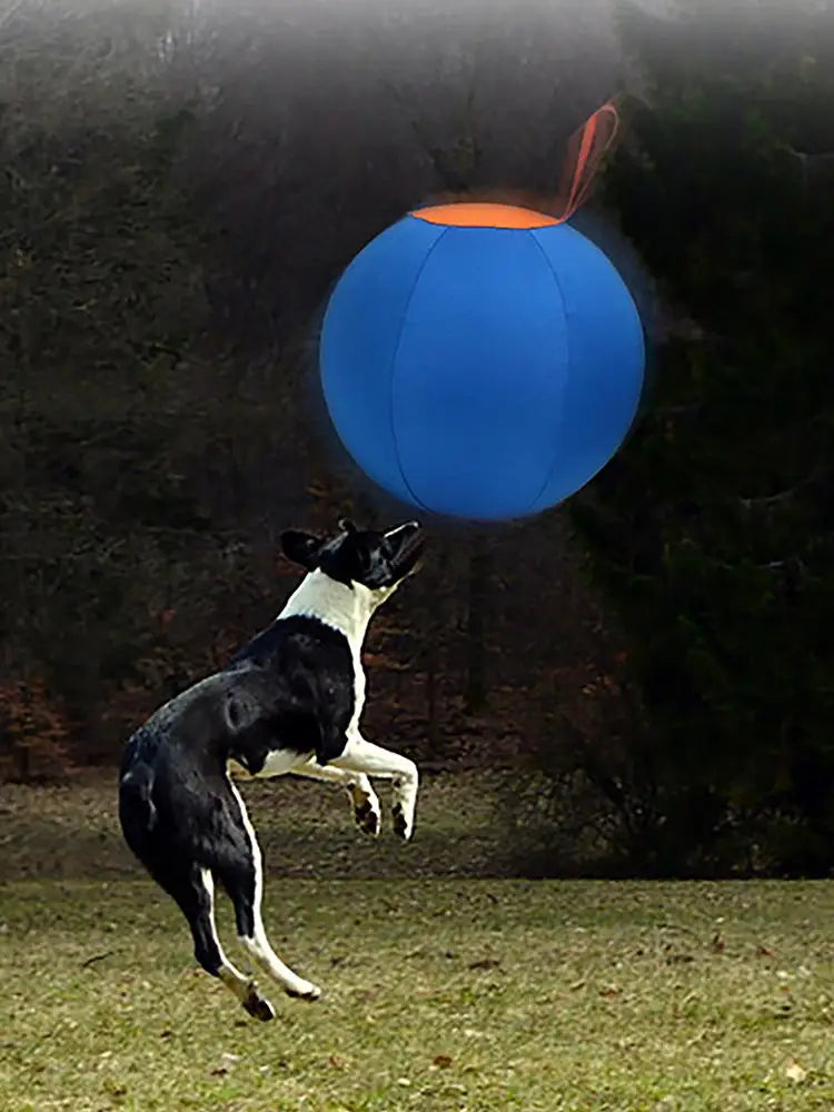 Giant Inflatable Dog Herding Ball | Large Outdoor Training & Play Ball for Dogs