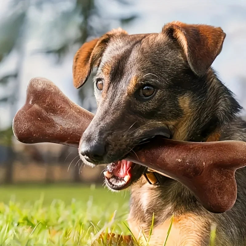 Beef Flavored Dog Chew Bone Toy | Durable Teeth Cleaning & Training Toy