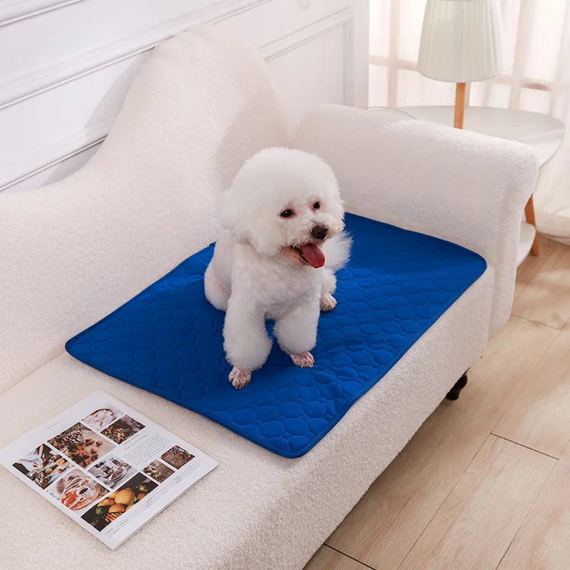 Reusable Dog Pee Pad | Washable Waterproof Absorbent Training Mat for Pets