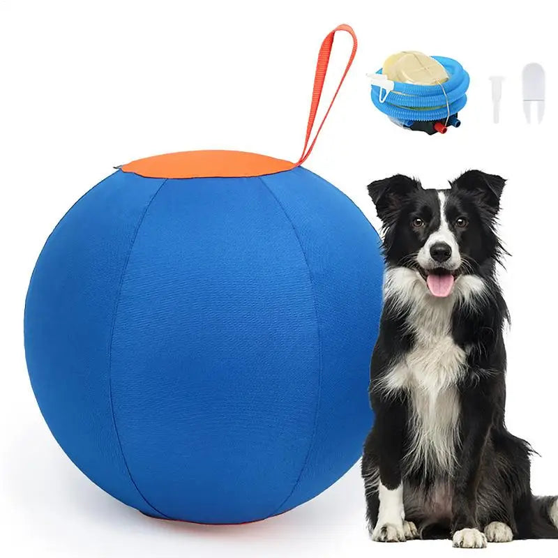 Giant Inflatable Dog Herding Ball | Large Outdoor Training & Play Ball for Dogs