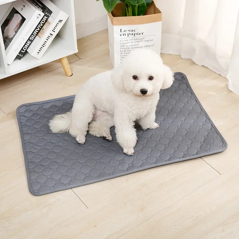 Reusable Dog Pee Pad | Washable Waterproof Absorbent Training Mat for Pets