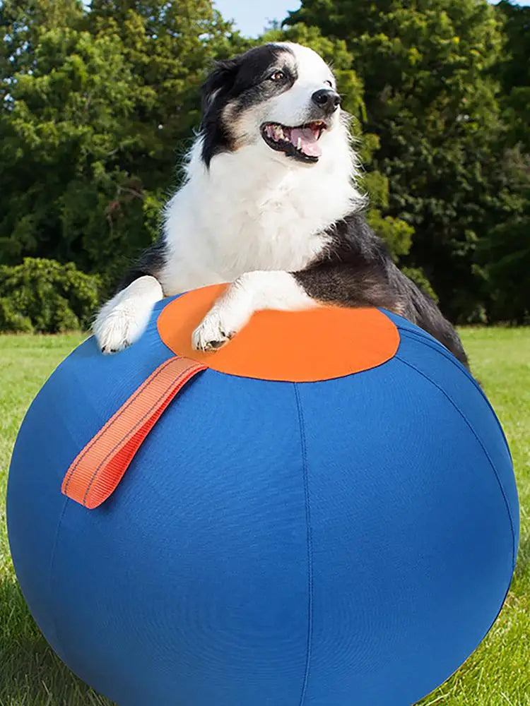 Giant Inflatable Dog Herding Ball | Large Outdoor Training & Play Ball for Dogs