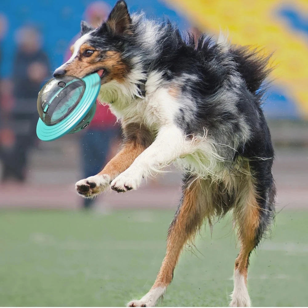 Interactive Dog Treat Dispenser Toy | IQ Training Slow Feeder Flying Disc for Dogs & Cats