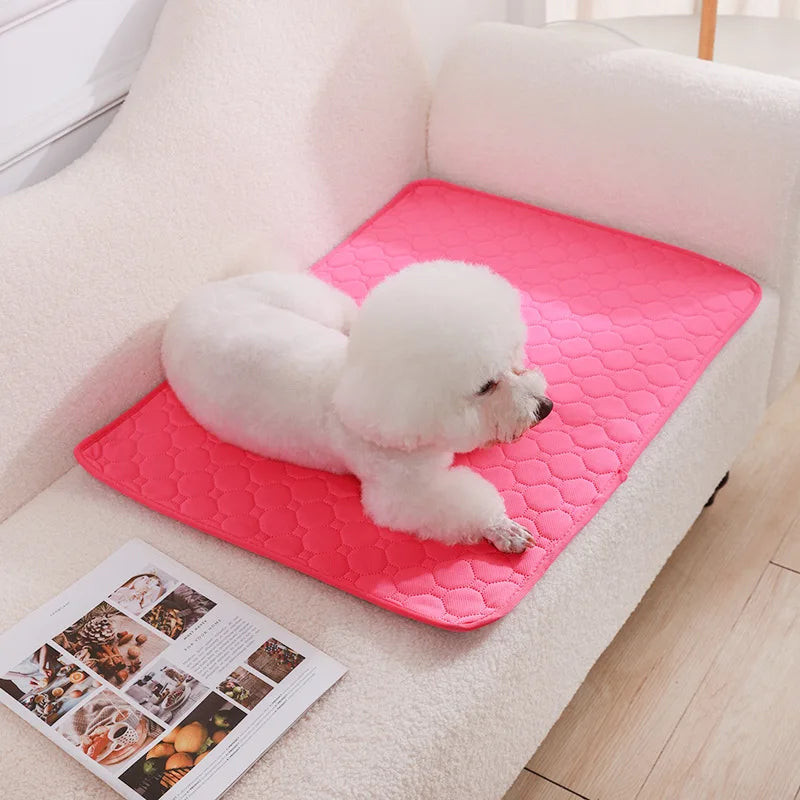 Reusable Dog Pee Pad | Washable Waterproof Absorbent Training Mat for Pets