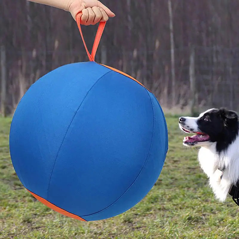 Giant Inflatable Dog Herding Ball | Large Outdoor Training & Play Ball for Dogs