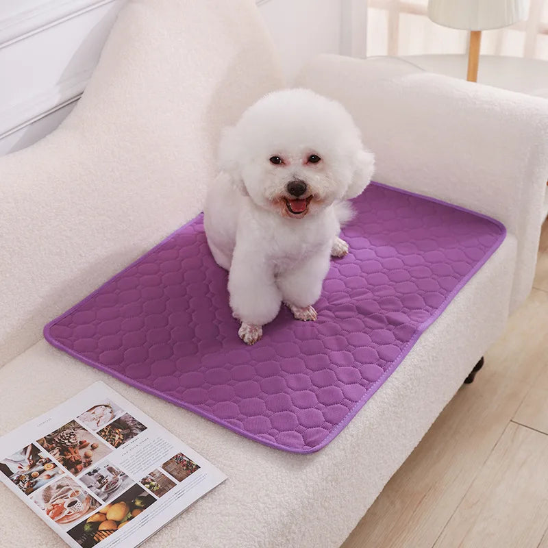 Reusable Dog Pee Pad | Washable Waterproof Absorbent Training Mat for Pets