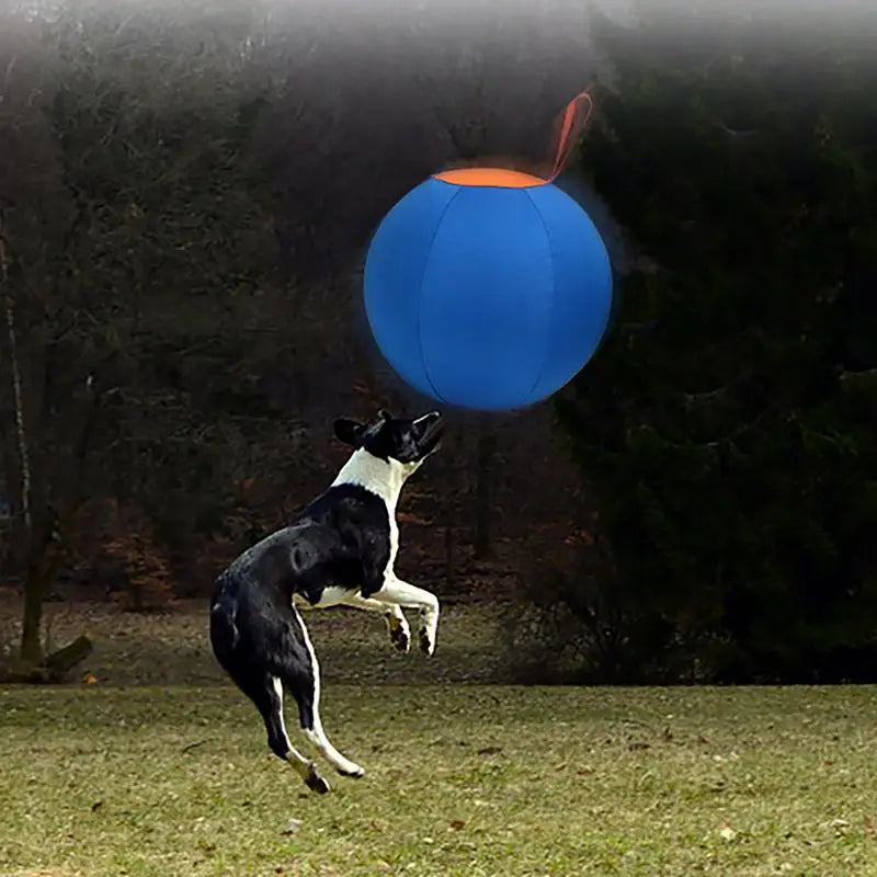 Giant Inflatable Dog Herding Ball | Large Outdoor Training & Play Ball for Dogs