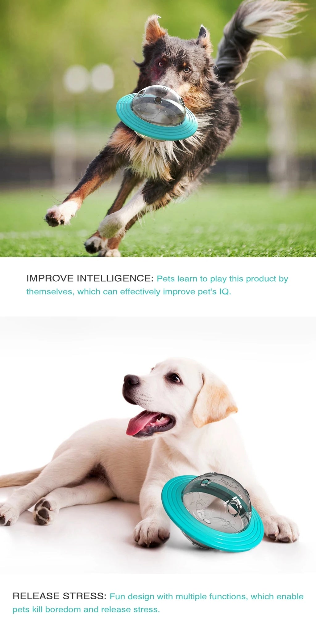 Interactive Dog Treat Dispenser Toy | IQ Training Slow Feeder Flying Disc for Dogs & Cats