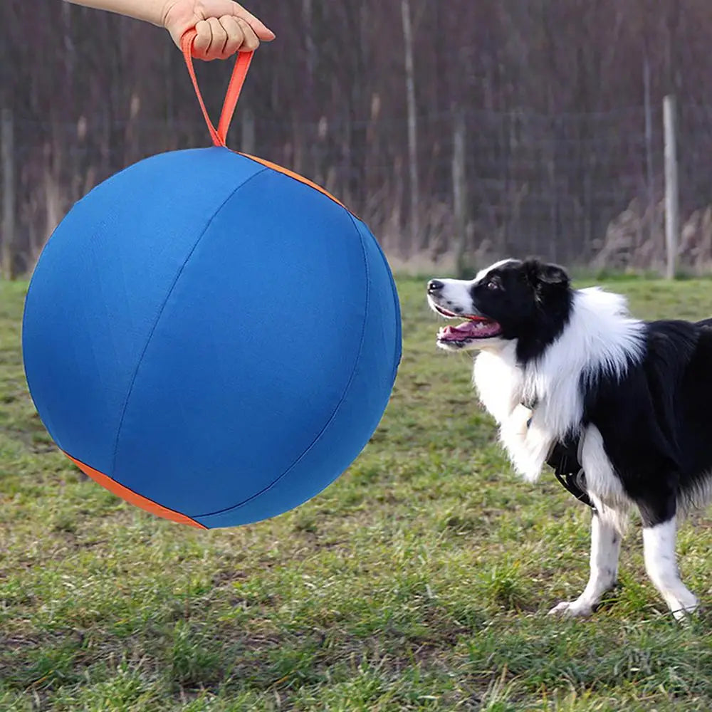 Giant Inflatable Dog Herding Ball | Large Outdoor Training & Play Ball for Dogs