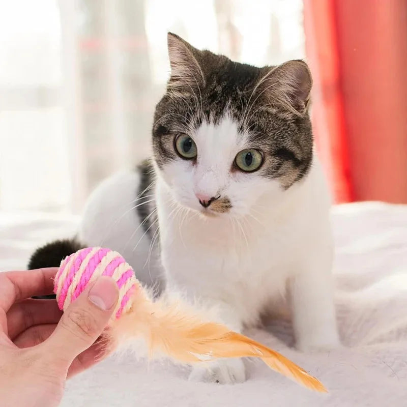 Cat Sisal Feather Ball Toy | Natural Scratch & Play Balls for Cats