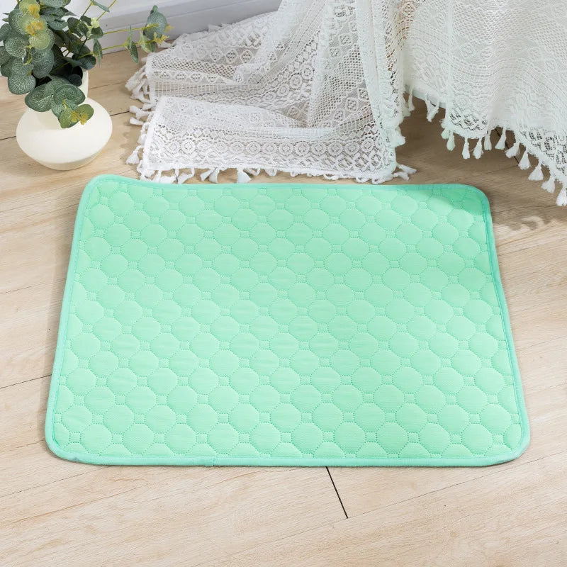 Reusable Dog Pee Pad | Washable Waterproof Absorbent Training Mat for Pets